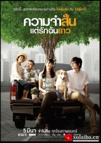 [电影][泰国]爱久弥新 ความจำสั้น แต่รักฉันยาว (2009)[百度][迅雷]