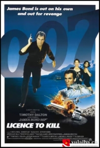 [电影][欧美]【007系列】007之杀人执照 Licence to Kill (1989)[百度][迅雷]