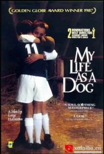 [电影][瑞典]狗脸的岁月 Mitt liv som hund (1985)[百度][迅雷]