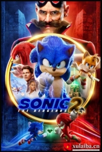 [电影][加拿大]刺猬索尼克2 Sonic the Hedgehog 2 (2022)[百度][迅雷]