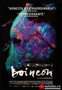 [电影][巴西]霓虹牛 Boi Neon (2015)[百度][迅雷]