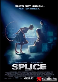 [电影][加拿大]人兽杂交 Splice (2009)[百度][迅雷]
