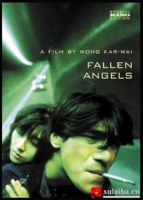 [电影][港台]堕落天使 墮落天使（1995）8.4分[百度][迅雷]